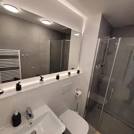 Street Center Apartment Brno