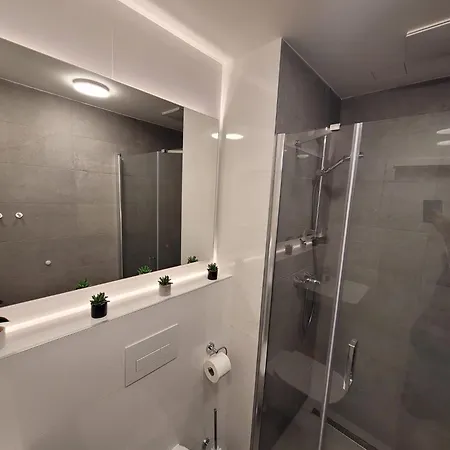 Street Center Apartment Brno