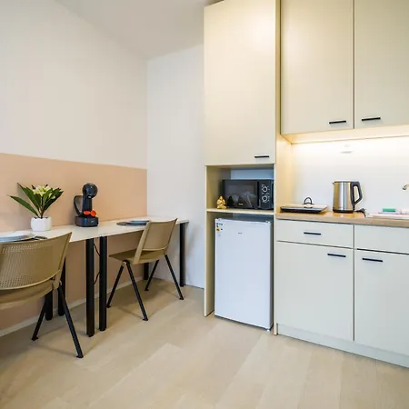 Street Center Apartment Brno